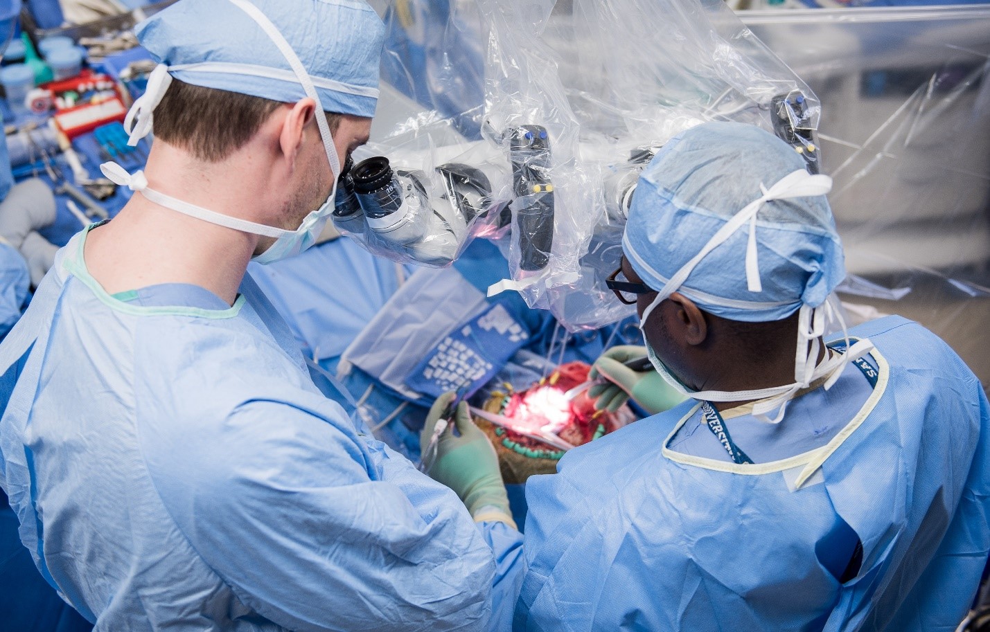 Clinical Neuroscience in Action: Neurosurgery’s Contribution to Mapping the Human Brain